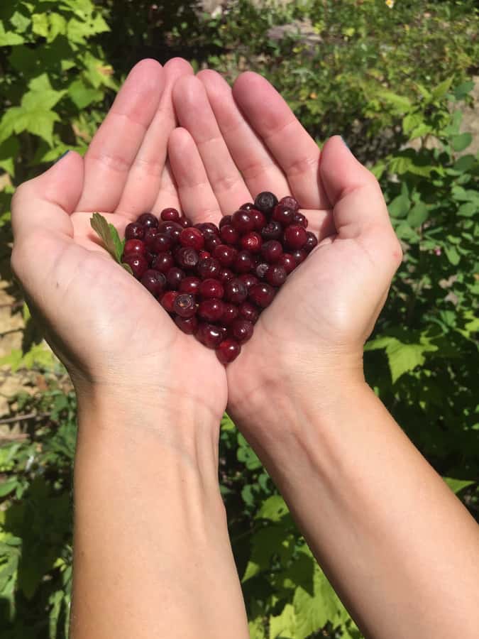 Glacier National Park: Morning Nature Walk - The Starting Point: West Glacier and Easy Check-In Process