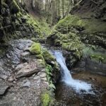 Glasgow Private Shore Excursion Highlands Lochs Castles & Ferry - Visiting Pucks Glen or Benmore Gardens