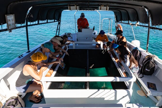Glass-Bottom Boat Cruise from Waikoloa - What the 30-Minute Glass-Bottom Tour Offers