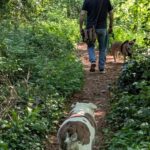 Glastonbury: Guided Tour of Avalon with Celtic Shaman - Glastonbury’s Sacred Land and Meeting Point