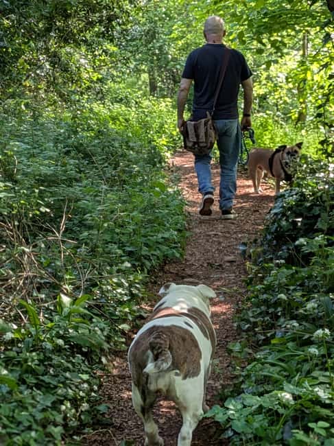 Glastonbury: Guided Tour of Avalon with Celtic Shaman - Glastonbury’s Sacred Land and Meeting Point