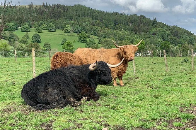 Glencoe, Central Highlands, Rob Roy, Whisky, Private Tour - Stirling Castle and the Wallace Monument: A Scottish Historic Highlight