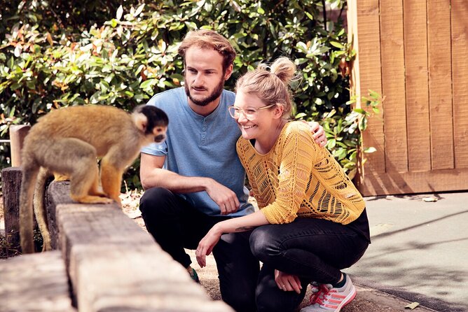 Go City London Explorer Pass: 2-7 Things To do including Shard - The View from The Shard: London’s Highest Observation Point