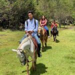 Go horseback riding in the forest and visit San Juan Chamula - Starting Point and Transportation Logistics