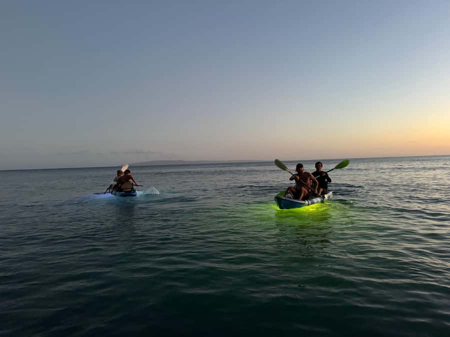 Golden Hour Kayak Cruise Through Turtle Town - Meeting Point and Logistics at Makena Landing