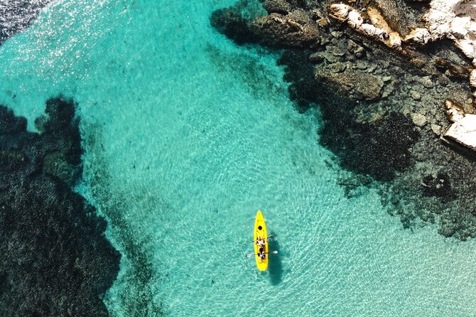 Golfo Aranci: Kayak tour with aperitif&dolphin sighting (max 9 Pax) - Discover Golfo Aranci from the Water with a Small-Group Kayak Adventure