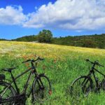 GPS self guide Alberobello and Masseria + Mozzarella and Focaccia tastings by E-bike - Crossing the Canale di Pirro Valley for Scenic Vistas