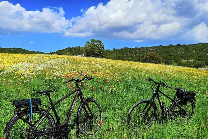 GPS self guide Alberobello and Masseria + Mozzarella and Focaccia tastings by E-bike - Crossing the Canale di Pirro Valley for Scenic Vistas