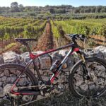 GPS Self guide Locorotondo+Alberobello + tasting in the vineyard - Vineyard Tasting Experience at Terrazzamenti Sirose