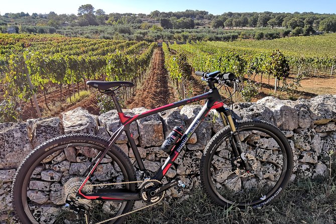 GPS Self guide Locorotondo+Alberobello + tasting in the vineyard - Vineyard Tasting Experience at Terrazzamenti Sirose