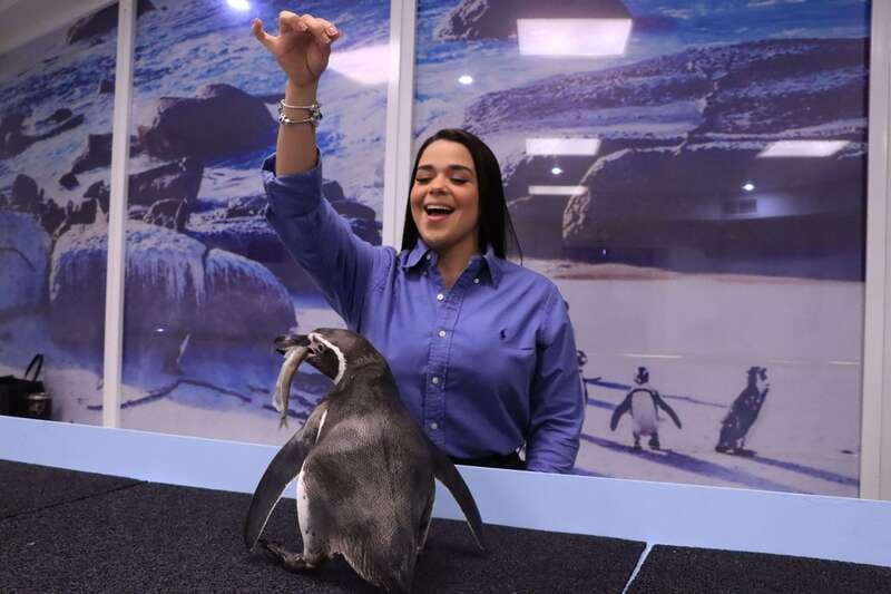 Gran Acuario Mazatlan - The Unique Setting of Mazatlan’s Aquarium