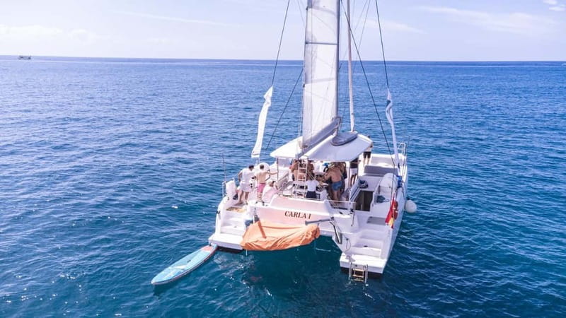 Gran Canaria: Catamaran Tour with Lunch on Pristine Beaches - Scenic Departure from Puerto de Mogán