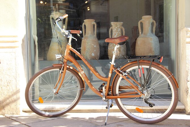 GRAND CITY Private Guided Tour on Bike, E-Bike, E-Step or Segway - Starting Point in Valencia’s Historic Center