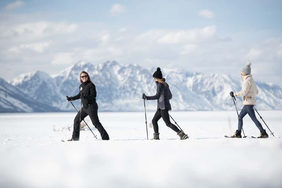 Grand Teton National Park: 8-Hour Willdlife & Snowshoe Tour - The Starting Point in Jackson: Convenient and Central