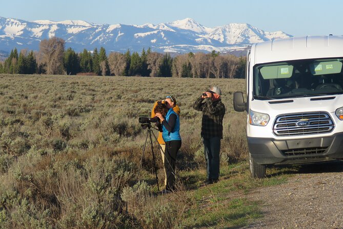 Grand Teton National Park - Sunrise Tour from Jackson Hole - Experience the Wildlife Through Expert Eyes and Binoculars