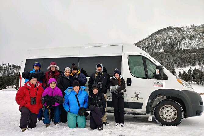 Grand Teton Wildlife Safari in a Enclosed or Open-Air Vehicle (season dependent) - Seasonal Vehicle Options: Open-Air and Enclosed Vehicles