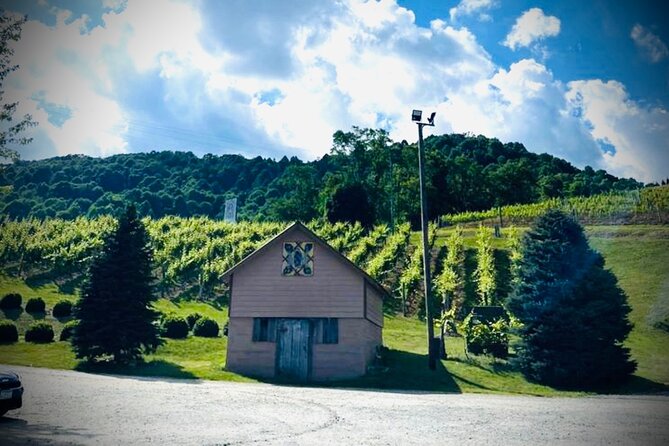 Grandfather Mountain Private Wine & Dine Tour from Asheville - Visiting Grandfather Vineyard & Winery at 3,300 Feet Elevation