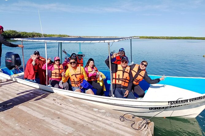 Gray Whale watching in Magdalena Bay From Los Cabos - The Scenic Route to Magdalena Bay