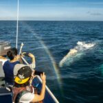Gray Whale Watching Tour with Marine Biologist and Small Group - Departure Logistics and Transportation from La Paz