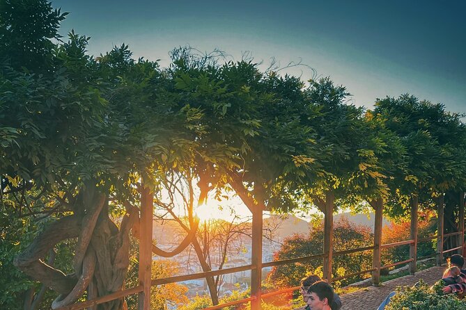 Graz Funicular Ride and Schlossberg Picnic Experience - Starting at Graz’s Taubenbrunnen: Easy Access and Meeting Point