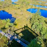 Great emeri Bog and Swamp Forest Hiking Adventure - Logistic Details: Pickup, Transportation, and Group Size