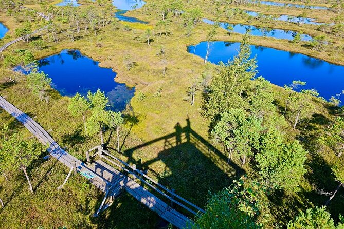 Great emeri Bog and Swamp Forest Hiking Adventure - Logistic Details: Pickup, Transportation, and Group Size
