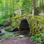 Great Smoky Mountains: Elkmont Historic District Tour - Discovering Daisy Town and the Appalachian Clubhouse