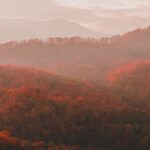 Great Smoky Mountains Full Day Private Tour & Hike - Scenic Drive Along the Blue Ridge Parkway