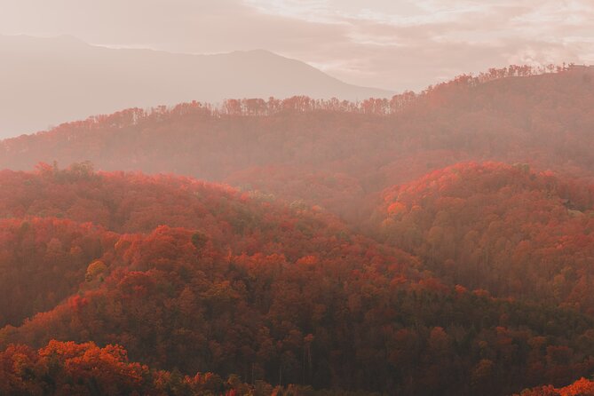 Great Smoky Mountains Full Day Private Tour & Hike - Scenic Drive Along the Blue Ridge Parkway