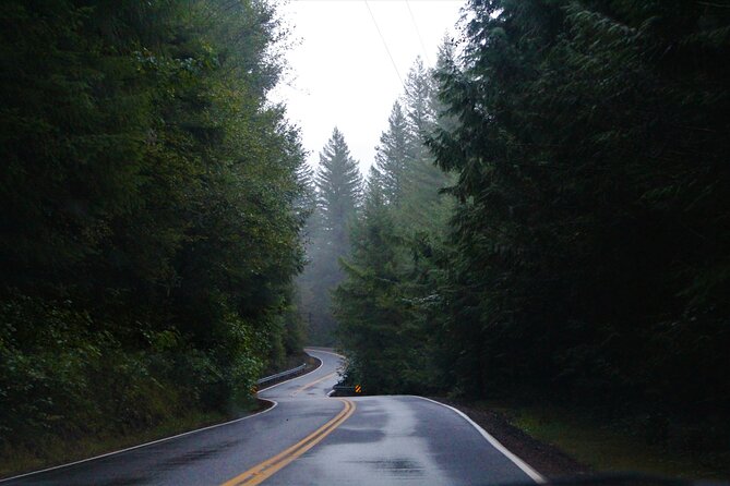 Great Smoky Mountains Self-Guided Scenic Drive and Audio Tour - Highlighted Stops: From Alum Cave to Cataloochee Valley