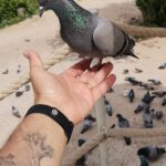 Green Full-Day Tour in Cappadocia - First Stop: Goreme Panorama Overlooking the Town