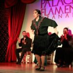 Grenada: Flamenco Palace, the best show in the center - The Lineup: Top Flamenco Artists Bring Passion to the Stage