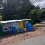 Grenada: River Tubing Adventures - Scenic Journey on the Balthazar River in Grenada