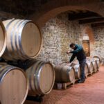 Greve in Chianti: Tenuta Casenuove Wine Tour & Tasting - Exploring Tenuta Casenuove’s Organic Vineyards