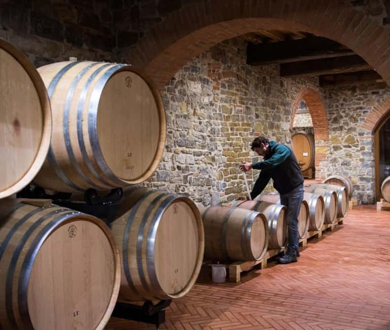 Greve in Chianti: Tenuta Casenuove Wine Tour & Tasting - Exploring Tenuta Casenuove’s Organic Vineyards