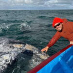 Grey Whale Watching at Mag Bay From Loreto - Why Mag Bay Is the Perfect Winter Whale Habitat