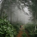 Group Hiking Tour in Mtirala National Park - Starting Point and Transport Logistics