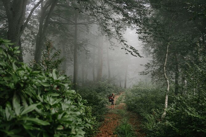 Group Hiking Tour in Mtirala National Park - Starting Point and Transport Logistics