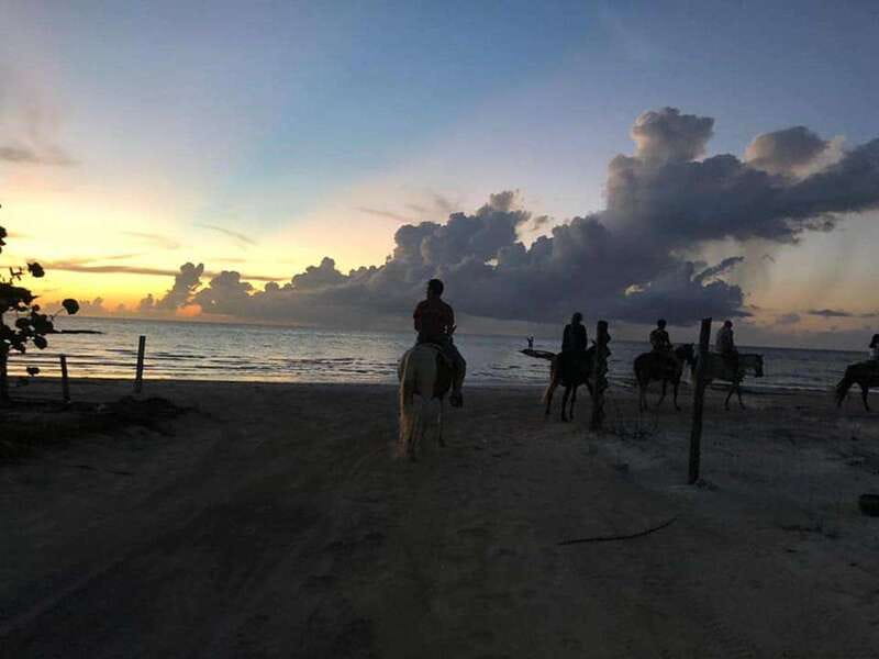 Group horseback ride on Holbox Island, Quintana Roo - Start Point and Booking Flexibility on Holbox Island