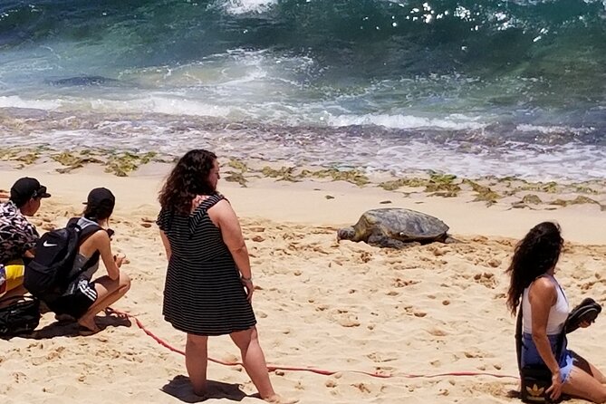 Group priced Food Distillery Brewery half island private tour - Exploring the West Side: North Shore and Haleiwa