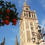Group Seville Jewish Quarter and Cathedral - The Exterior of Torre Giralda and Optional Tower Ascent