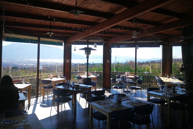 Group tour for wine & food tasting at the Cantina del Vesuvio. - Scenic Drive at the Foot of Vesuvius