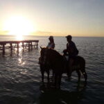 Group Tour of Holbox Island, Quintana Roo - The Scenic Route through Mangroves and Beach