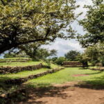 Guadalajara: Guachimontones pyramids Archaeological Site - Pickup From Zapopan and Convenient Transport