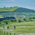 Guadalajara: Tequila Experience at Casa Sauza - Authentic Visits to Agave Fields and Tequila Town