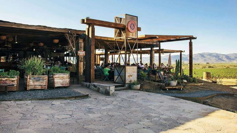 Guadalupe Valley: Complete Wine Route - Starting Point: Hotel Pickup in Baja California