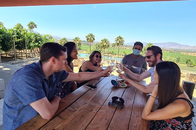 Guadalupe Wine Valley Tour - Starting Point: El Muro en la Playa in Tijuana