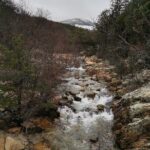 Guadarrama National Park from Madrid - Starting Point and Transportation Logistics