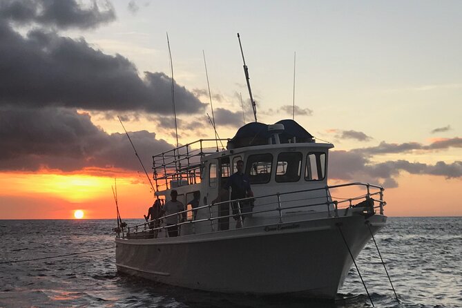 Guaranteed Whale Watch in Kona - The Departure Point at Honokohau Harbor