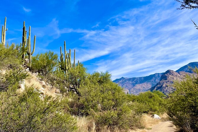 Guided 2 Hour Horseback Ride Catalina State Park Coronado Forest - What to Expect from the Catalina State Park and Coronado Forest Trails